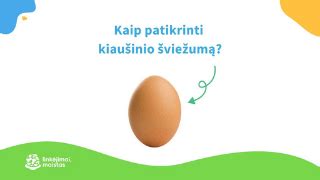 Infografika: Kaip patikrinti kiaušinio šviežumą