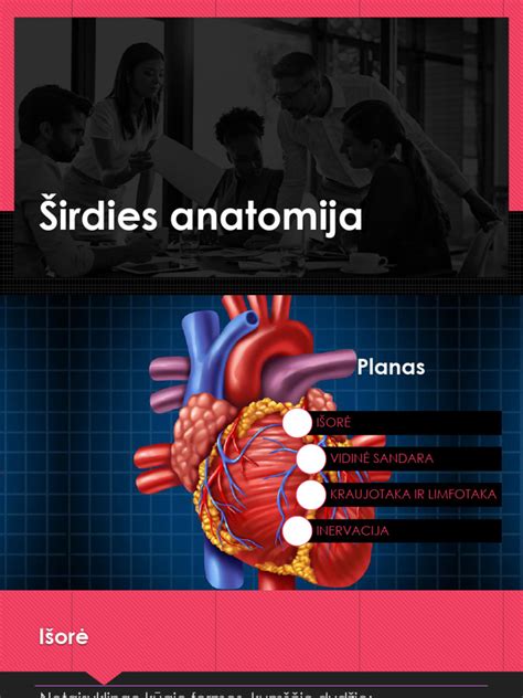 Širdies vožtuvų anatomija ir dažniausios patologijos