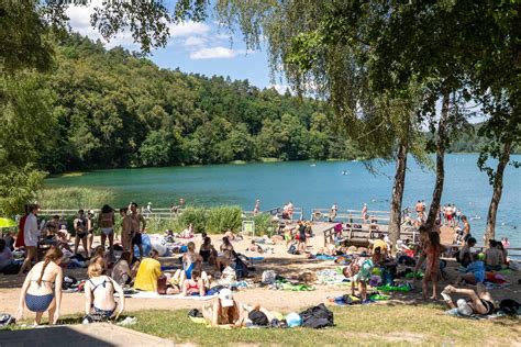 Scenos nuotykių iliustracija: mikrofonai ir mašalai Nidos festivalyje