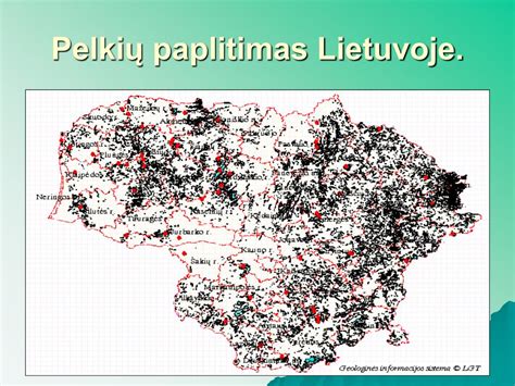 Pilkojo kiškio paplitimas