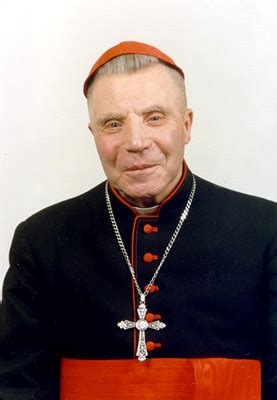 Kardinolas Vincentas Sladkevičius