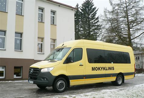 Mokyklinis Medos Norbutaitės piešinys
