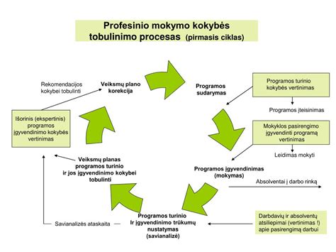 Mokymo procesas universitete