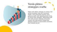 Verslo plėtros strategijos schema