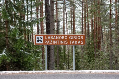 Labanoro girios peizažas