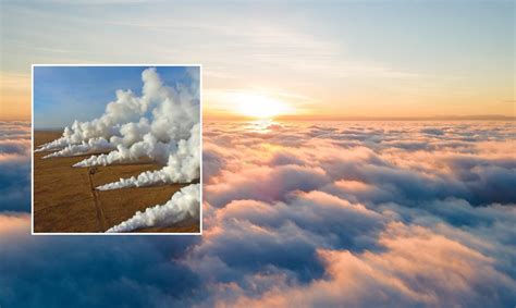 Gyvūnai Debesų ganyklose