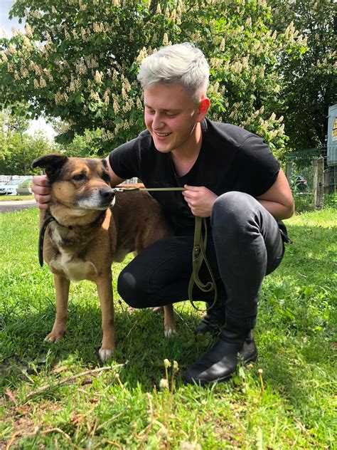 Laime gimde kate su mazyliais