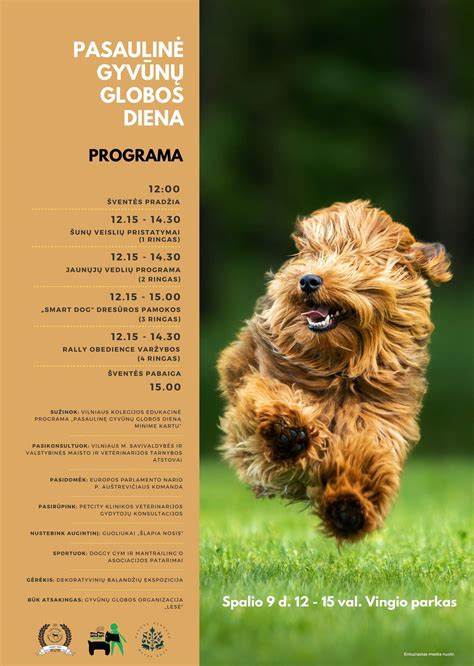 Simbolinis gyvūnų globos dienos plakato dizainas