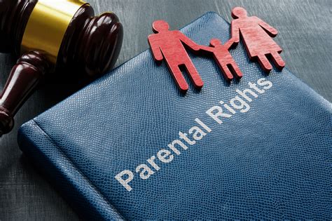 Schema showing parental rights and responsibilities