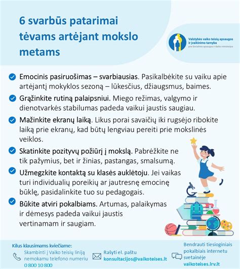 Infografika apie socialinės globos namuose procesą