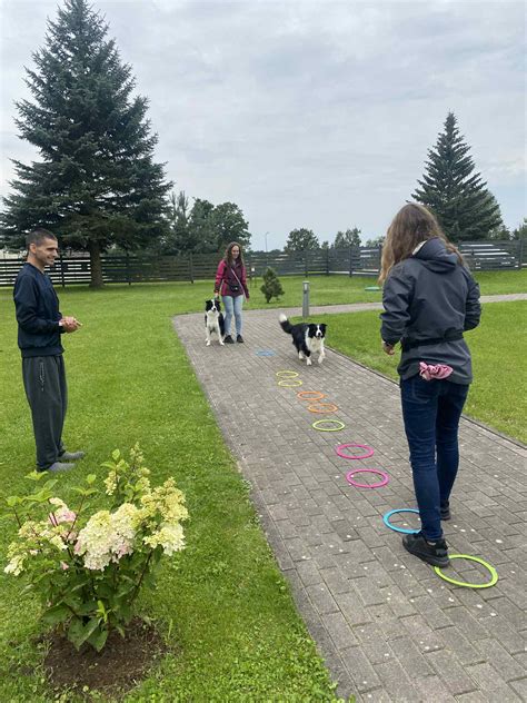 Kaniterapijos užsiėmimai