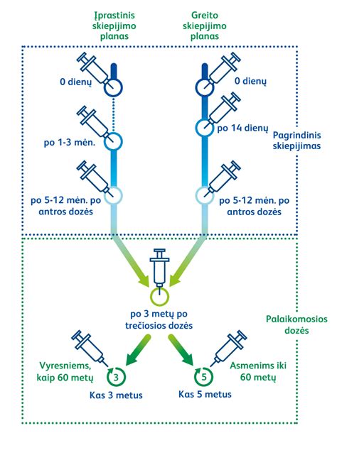 kudikio skiepijimo schema