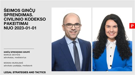 Lietuvos Civilinio kodekso straipsnis dėl skolų išieškojimo apribojimų