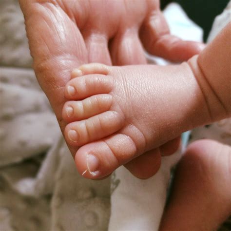 kūdikio kojytės tėvų rankose