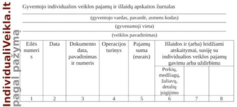 Pajamų vertinimo schemos pavyzdys