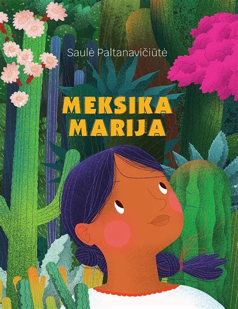 Viršelis knygos „Meksika Marija“