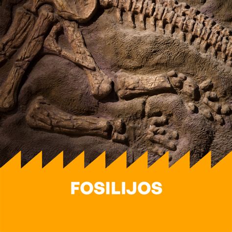 Vaikai, tiriantys dinozaurų fosilijas