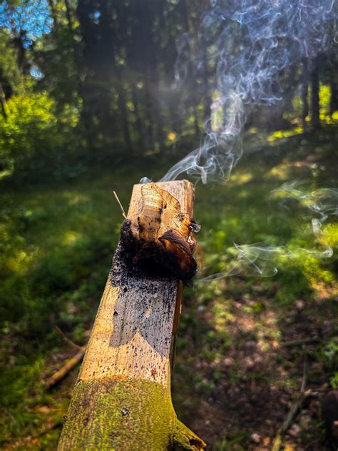 Manto Cegelsko nuotrauka, vaizduojanti jį kaip aktorių