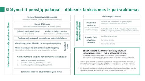 Lietuvos pensijų sistemos schematinis vaizdas