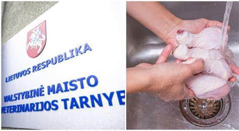 Mozambiko kraštovaizdis ir žmonės, gaminantys maistą lauke
