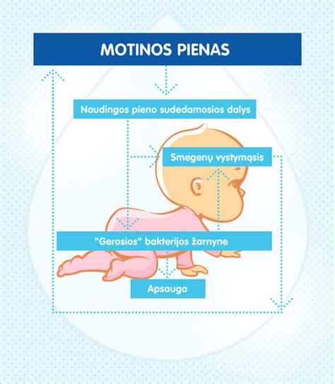 Motinos pieno svarba kūdikio vystymuisi