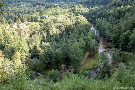Šeimos su vaikais siluetų iliustracija