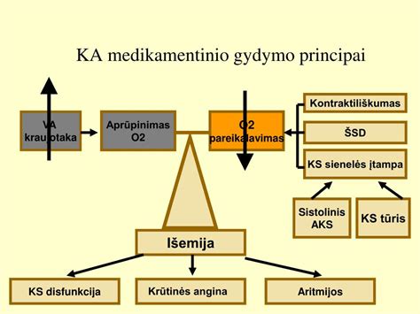 Medikamentinio gydymo schema su skirtingais vaistų pavadinimais