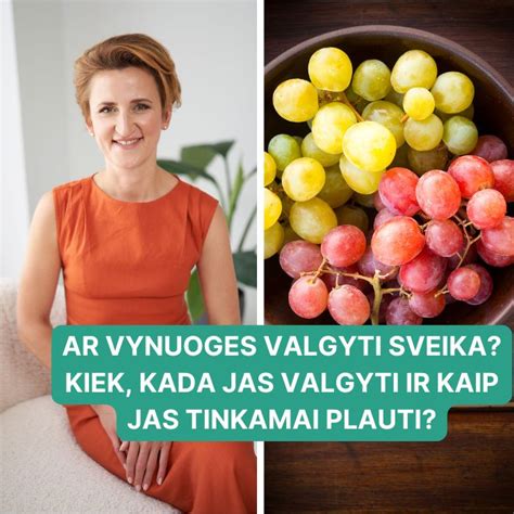 kamparmedis ir natūralus kamparas