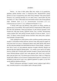 Vaiko piešinio psichologinė interpretacija