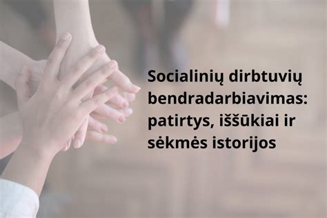 Mokyklos ir socialinių partnerių bendradarbiavimas