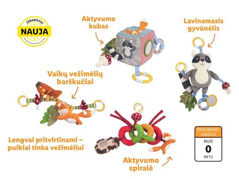Vežimėlio komponentų schema