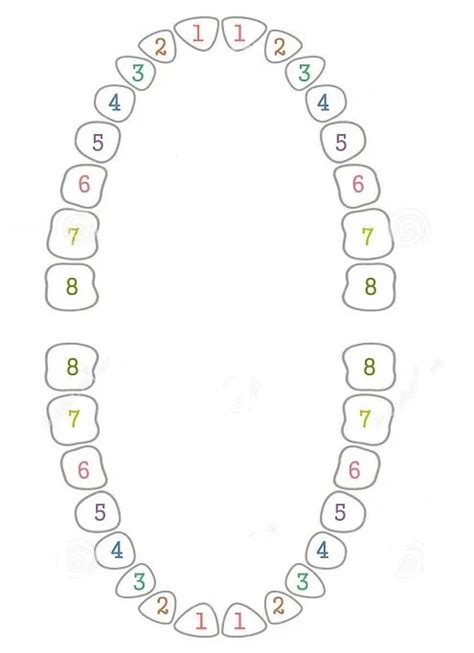 Dantų silantavimo schema