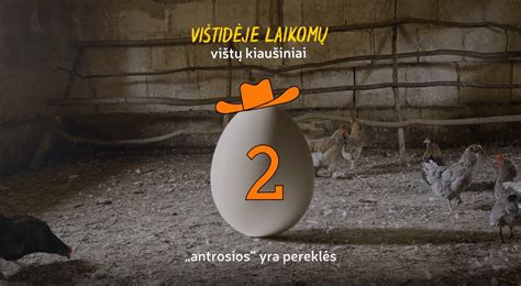 Skirtingos vištų laikymo sąlygos
