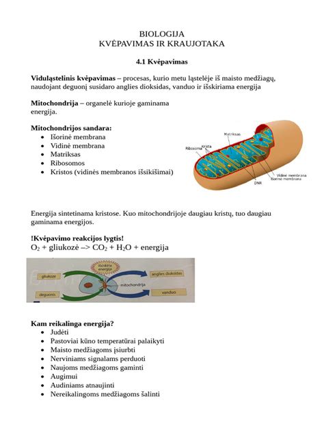 Vaiko rankyčių ir kojyčių kraujotaka