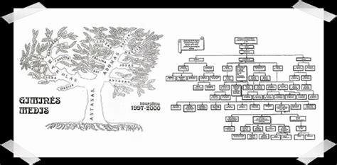 Genealoginio medžio pavyzdys su kraujo grupių žymėjimais