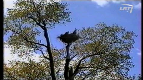 Naujuose Mažeikių gimdymo namuose gimė aštuoniolika naujagimių.