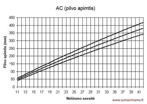 Vaisiaus matmenys ultragarsu