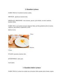 kiaušinio šviežumo tikrinimo schema
