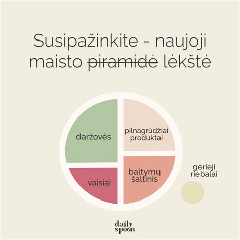 sveikos mitybos lėkštė su daržovėmis ir grūdais