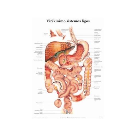 Vaizdinis pavaizdavimas kūdikio virškinimo sistemos sutrikimo simptomų