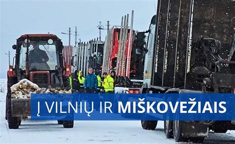 Miškininkai miške