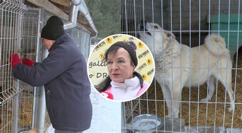 Perpildyta gyvūnų prieglauda