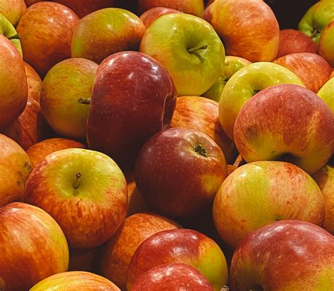 Obuolių štampavimas