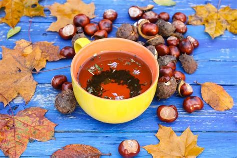 Kaštonų lenktynės