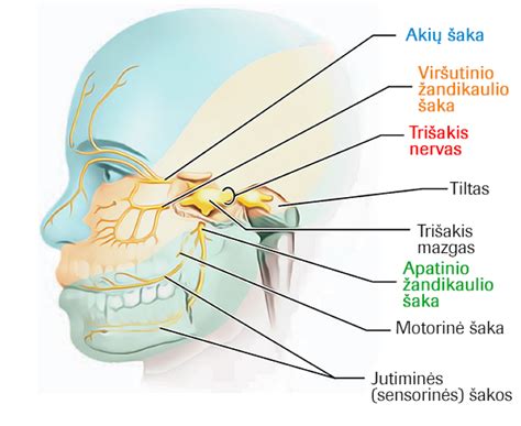 Medikamentai trišakio nervo neuralgijai gydyti
