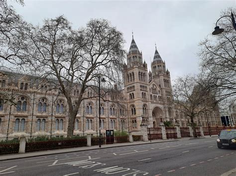 Karo nusiaubtas Londonas