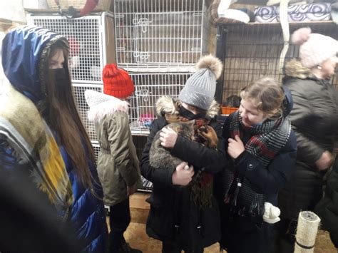 Vaikai, savanoriaujantys gyvūnų prieglaudoje