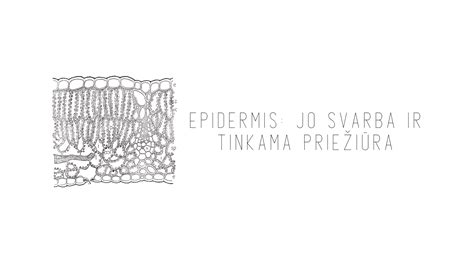tinkama intymi higiena ir medvilninių apatinių svarba