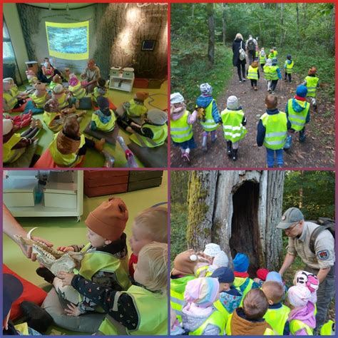 vaikai tyrinėja mišką