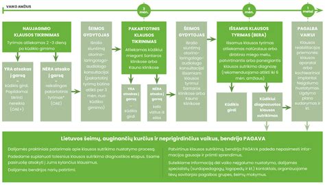 Elektroninės registracijos schema